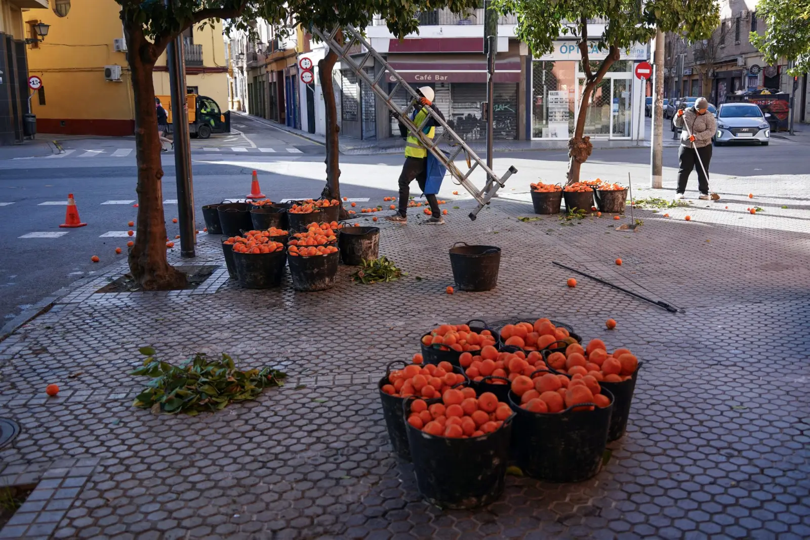 Calle con comercios y naranjos